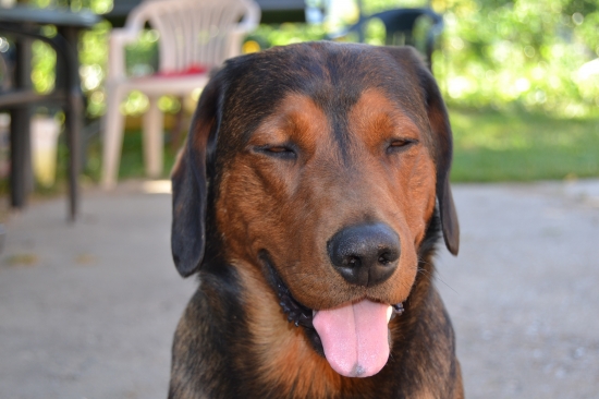 ...to teplo ma uspáva...:-)!