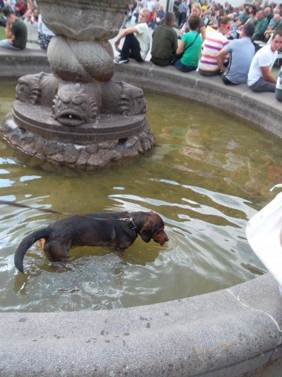 ...v sv. Antone niekto hodil do fontány pár centov, niekto psa....:-)!