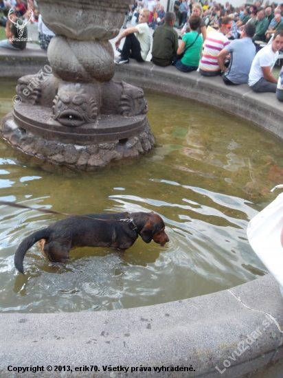 ...v sv. Antone niekto hodil do fontány pár centov, niekto psa....:-)!