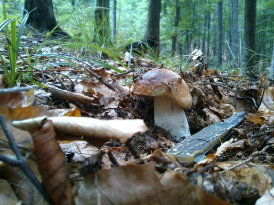 ...tento to už má zrátané:-)!