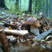 ...tento to už má zrátané:-)!