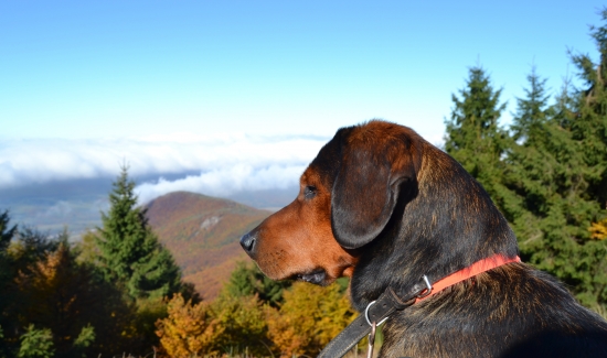 ...aj Kazánek sa kochal...:-)!