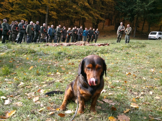 ...rok sa s rokom stretol...a sezóna spoločných začala...:-)!