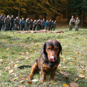 ...rok sa s rokom stretol...a sezóna spoločných začala...:-)!