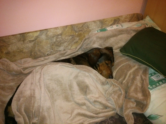 ...unavený a zničený...:-)!