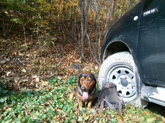 ...odložený...:-)!