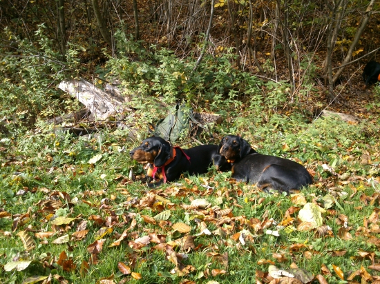 ...živá opierka je najlepšia...:-)!