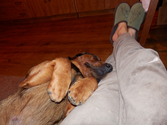 ...opri sa o mňa bude ti dobre...:-)!