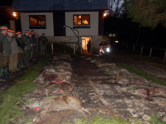 ...boložeto v pohone roboty...:-)!