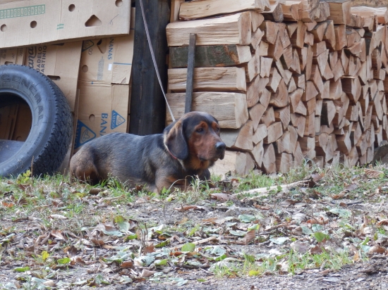 ...rozjímanie po spoločnej...:-)!