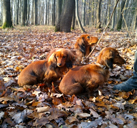 ...aj keď to nebola spoločná na drobnú...predsa sa v pohone našli aj 