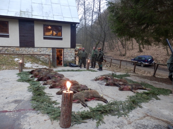 ...pekná poľovačka...:-)!