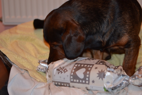 ...čo som dostal, čo som dostal, čo som dostááál...?!:-)