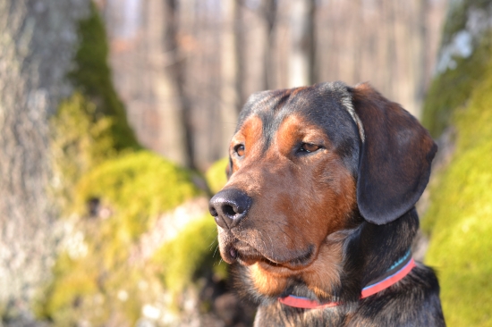 ...s vráskou na čele...:-)!
