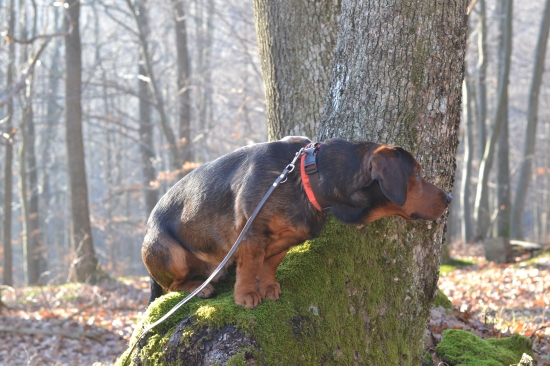 ...vidíííím...:-)!