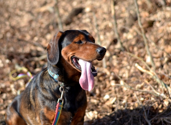 ...vetranie jazyka... :-D!