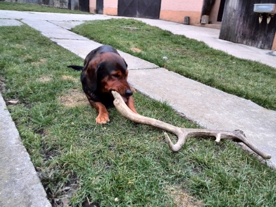 ...Kazánek má novú hračku...:-)!