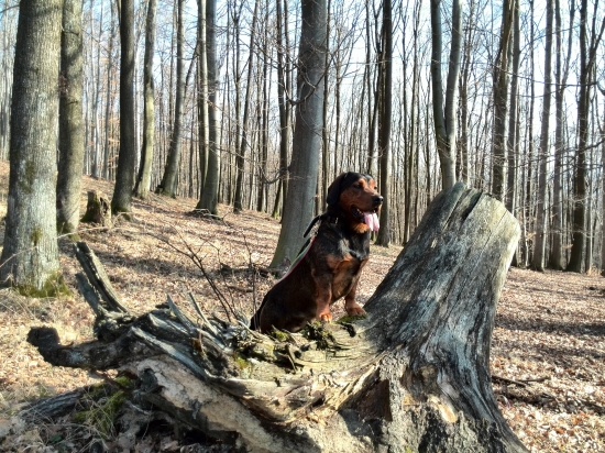 ...zlato moje...:-), musí mať vždy prehľad!