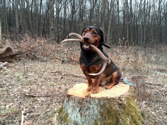 ...rýchlo ma odfoť lebo ho pustím...:-)!