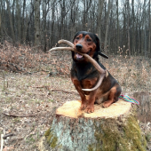 ...rýchlo ma odfoť lebo ho pustím...:-)!