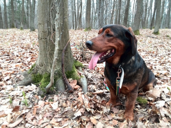 ...len a len Kazanov...:-)!