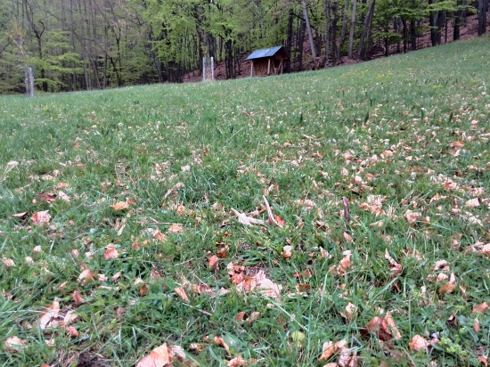 ...najrýchlejšie nájdený zhod...:-)!