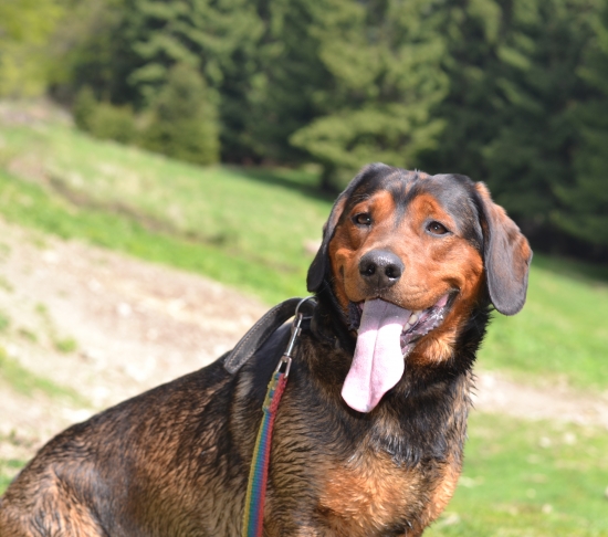 ...vysmiaty, spokojný...:-)!