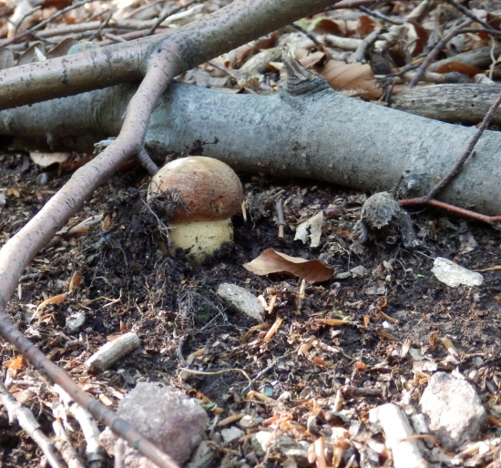 ...prvomájový úlovok alebo sezóna 2014 zahájená:-)!