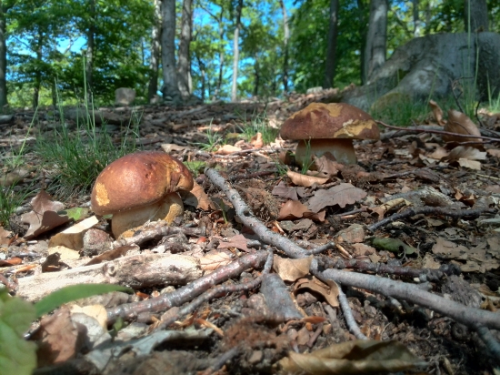 ...nádhera... :-) !