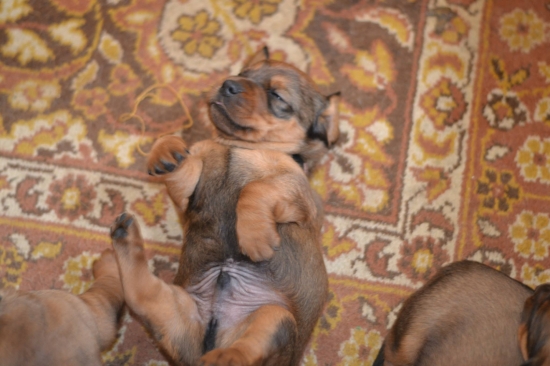 ...relax - pohoda...:-)!