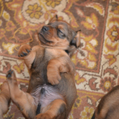 ...relax - pohoda...:-)!
