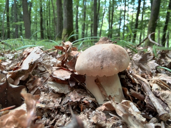 ...blonďáčik...:-)!