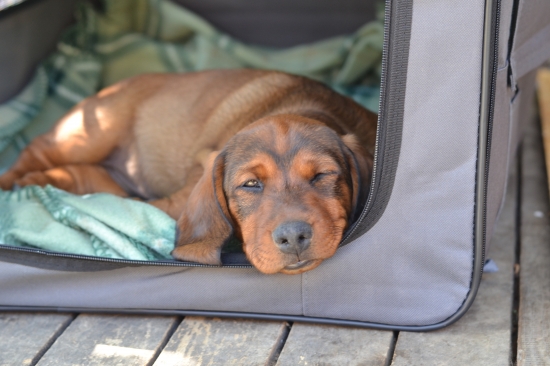 ...chce sa mi spinkáááť...:-)!