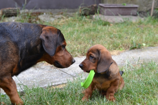 ...tak ty si môj vnuk? No nazdar! :-)))