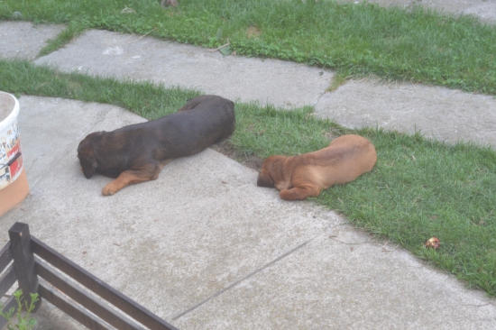 ...občas sa mi zdá, že vidím dvojmo...:-)!