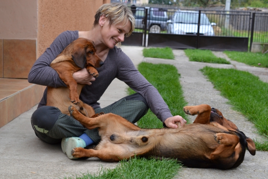 ...alpský jazvečíkovitý durič...radosť s ním(s nimi) žiť...:-)!