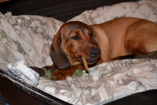 ...ešte cigárko a ide sa spať...:-)!