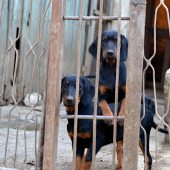 ...brácho ma vždy podrží... :-) !