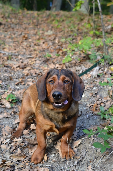 ...malý kraken...:-)!