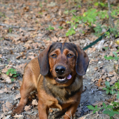 ...malý kraken...:-)!