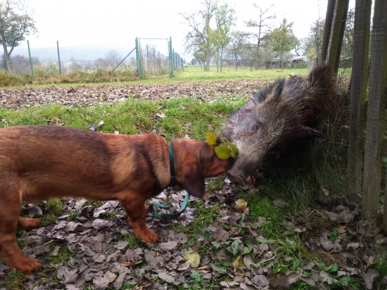 ...a ešte pusinka na rozlúčku... :-) !