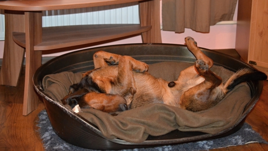 ...takto sa u nás oddychuje po spoločnej...:-) !