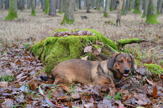...nová disciplína: odloženie s úškrnom...:-)!