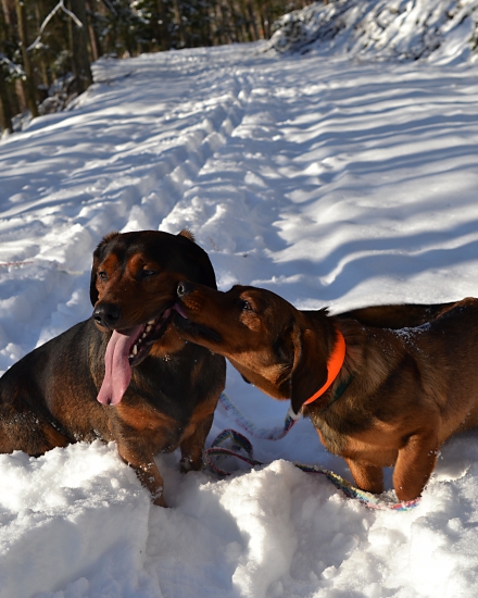 ...Drago ho proste miluje...(ja tiež)  :-)!