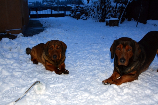 ...spočítané ukončené...:-) !