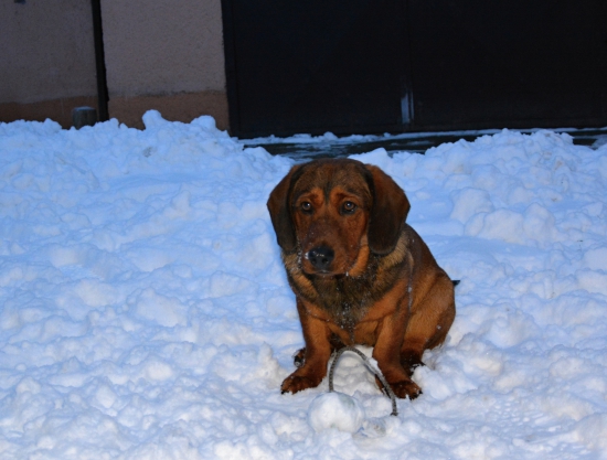 ...daxlíčatko úžasné... :-)!