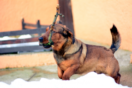 ...šnorchlujeme... :-) !