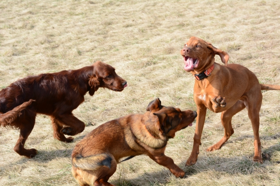 ...takú ti jednu fláknem...:-) !