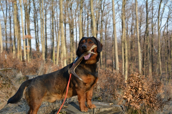 ...aha čo som našiel.....:-)!