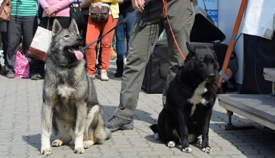 ...úplná nádhera!